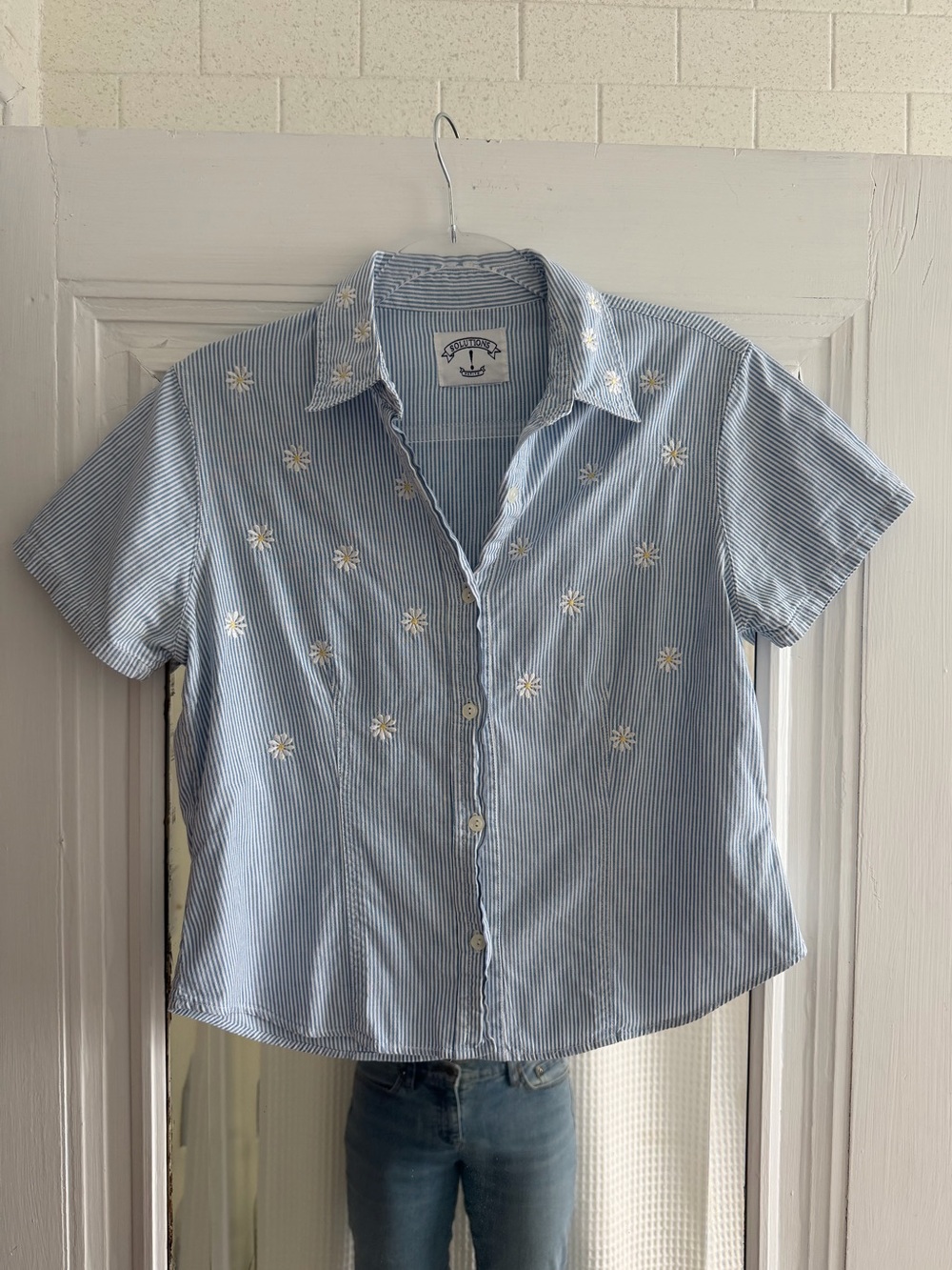 Blue Striped Daisy Embroidered Button-Up Shirt - Women